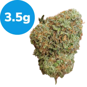 3.5g – Yellow Zushie – LIVING SOIL (Indica) 3.5g - Yellow Zushie - LIVING SOIL (Indica)