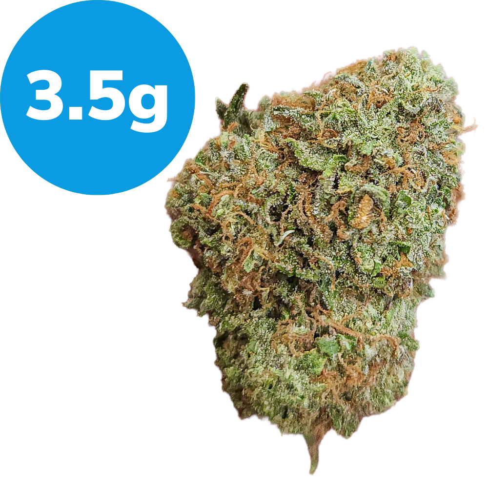 3.5g – Yellow Zushie – LIVING SOIL (Indica) 3.5g – Yellow Zushie – LIVING SOIL (Indica)