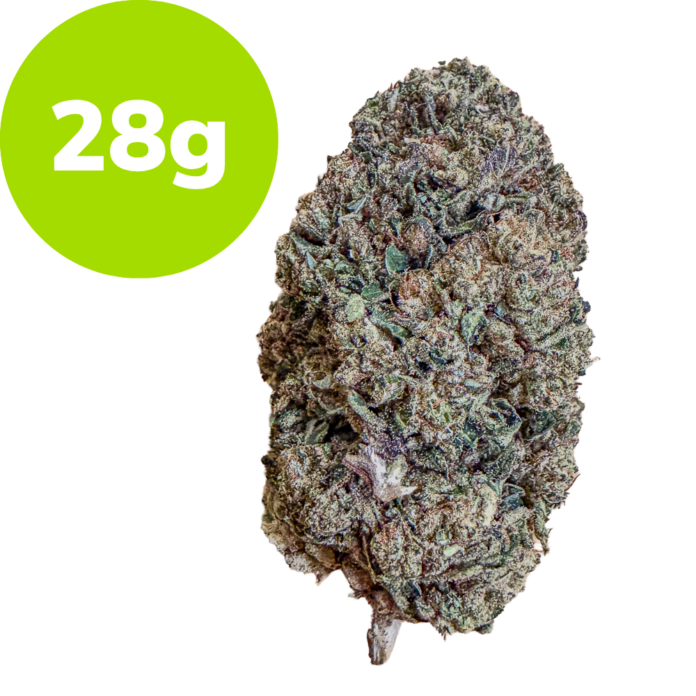 28g – E85 (Hybrid) 28g – E85 (Hybrid)