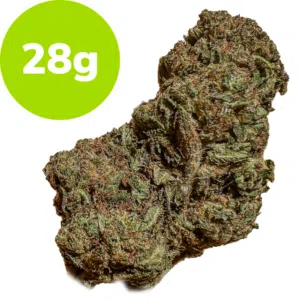28g – Forest Fire (Hybrid) 28g - Forest Fire (Hybrid)