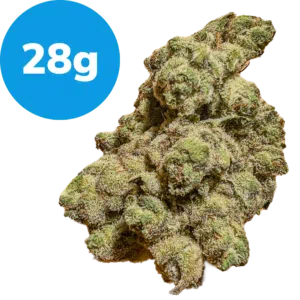 28g – Blackberry x Blueberry (Indica) 28g - Blackberry x Blueberry (Indica)