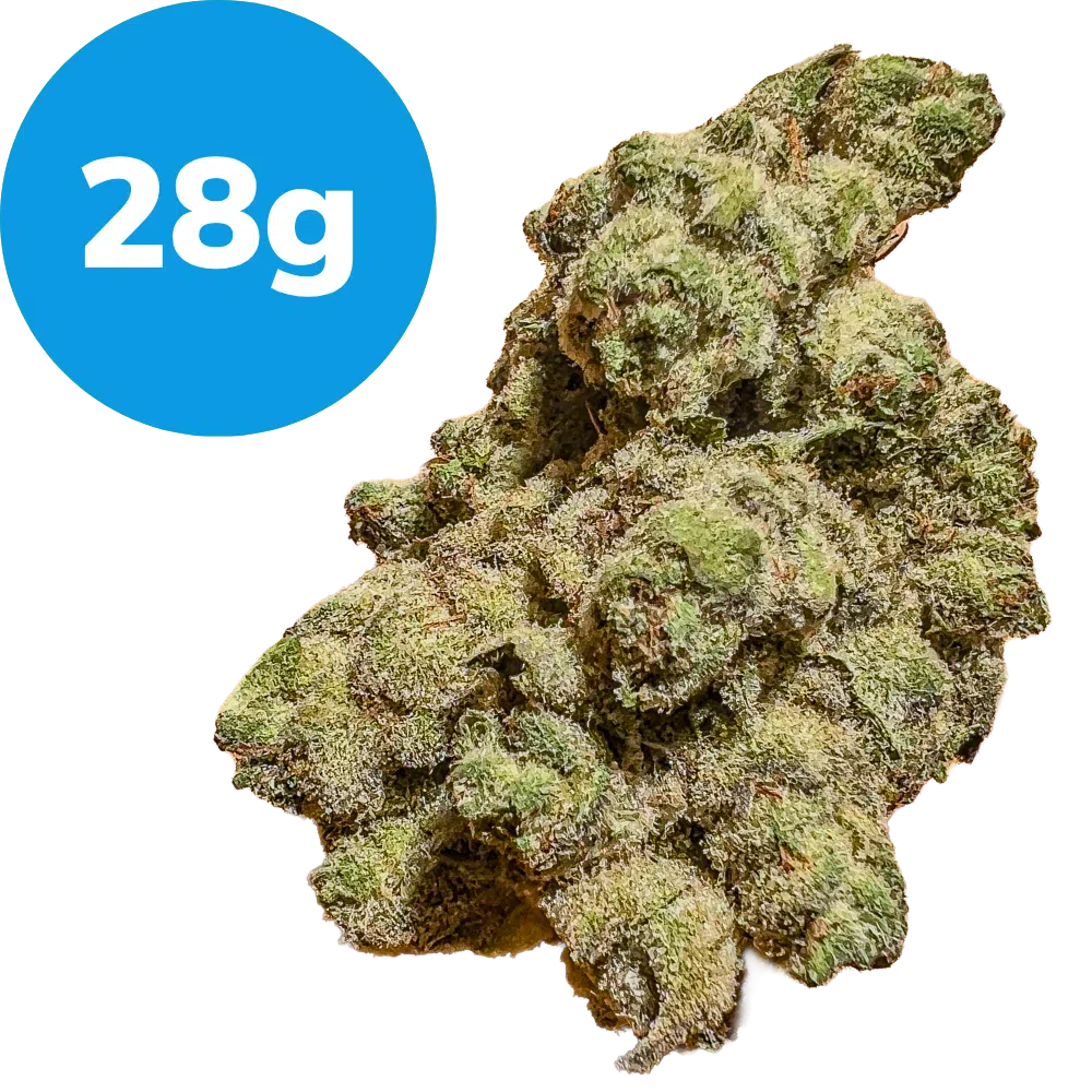 28g – Blackberry x Blueberry (Indica) 28g – Blackberry x Blueberry (Indica)