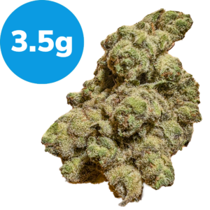 3.5g – Blackberry x Blueberry (Indica) 3.5g - Blackberry x Blueberry (Indica)
