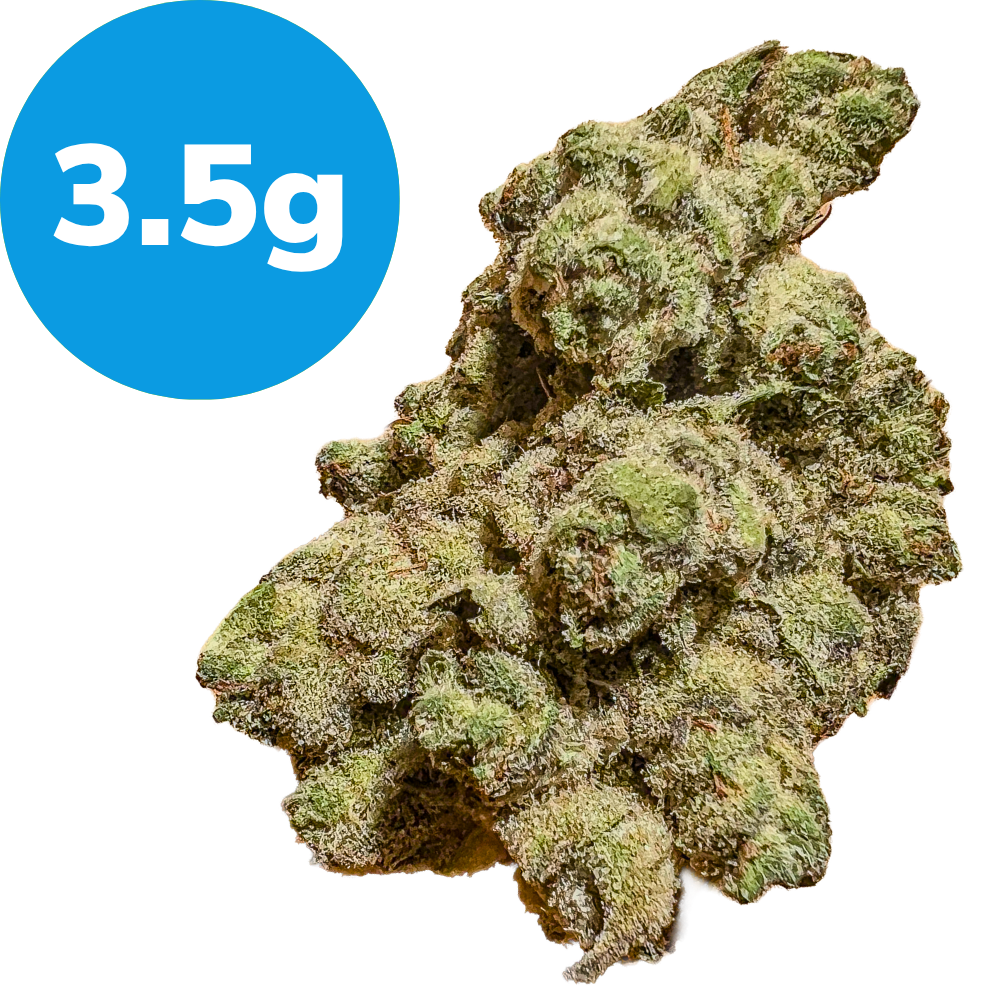 3.5g – Blackberry x Blueberry (Indica) 3.5g – Blackberry x Blueberry (Indica)