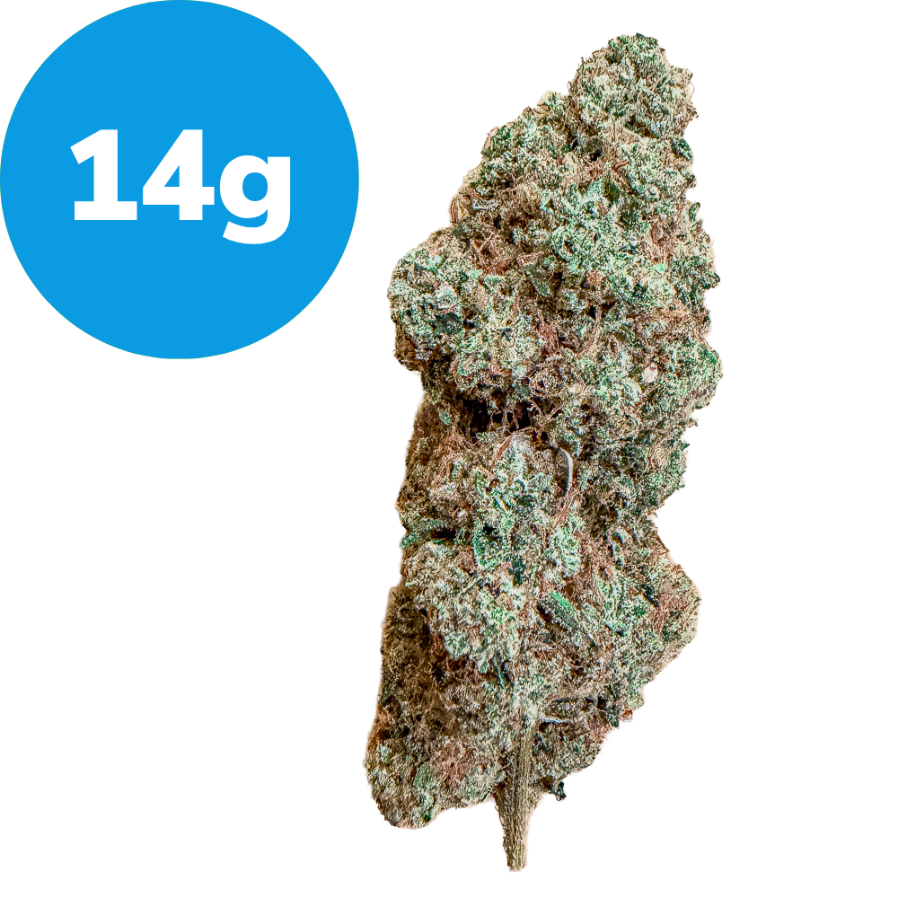 14g – Skywalker OG (Indica) 14g – Skywalker OG (Indica)