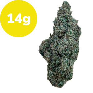 Cannabis bud showing a 14 g weight label beside it
