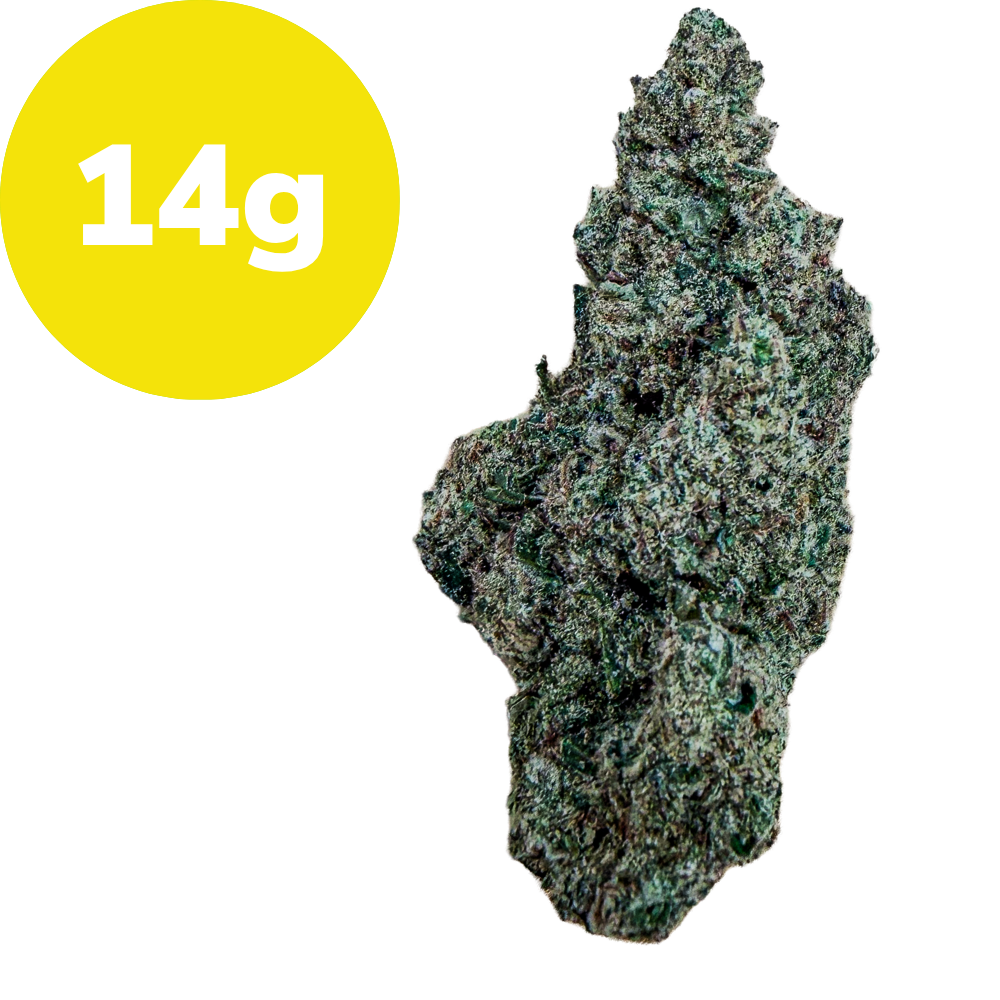 Cannabis bud showing a 14 g weight label beside it