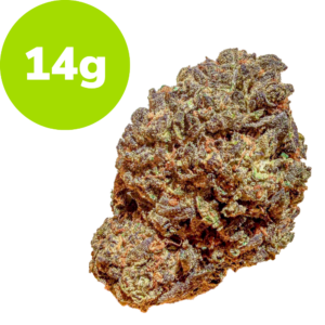 14g – Ice Cream King (Hybrid) 14g - Ice Cream King (Hybrid)