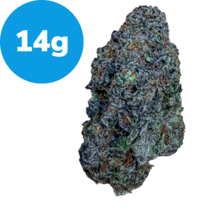 Cannabis bud with frosty trichomes next to a blue circle that reads 14g, indicating weight