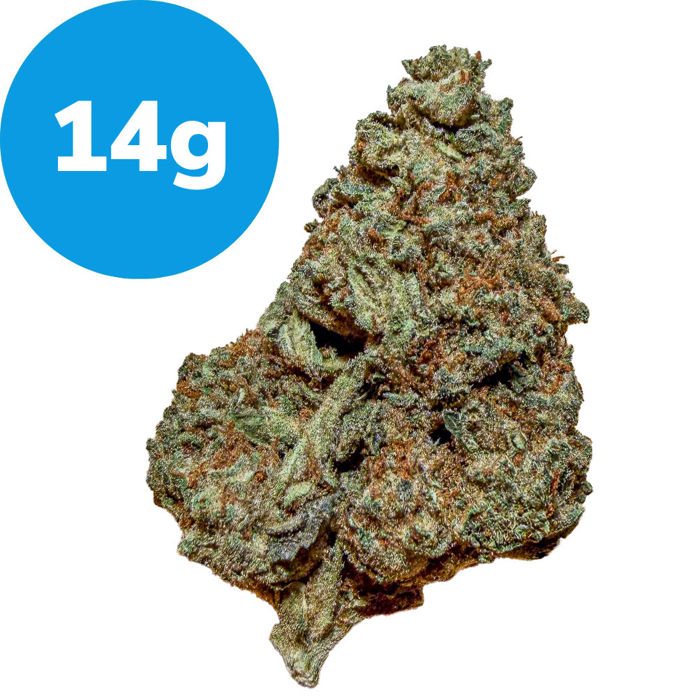Cannabis bud with a blue circle label reading '14g' in the corner.