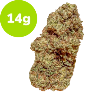 Dried cannabis bud next to a bright green circle reading 14g, indicating weight.