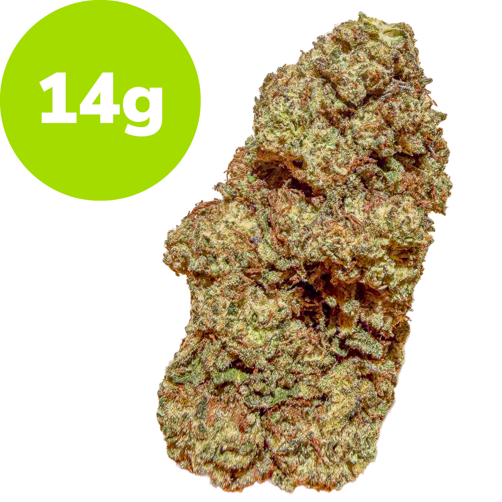 Dried cannabis bud next to a bright green circle reading 14g, indicating weight.