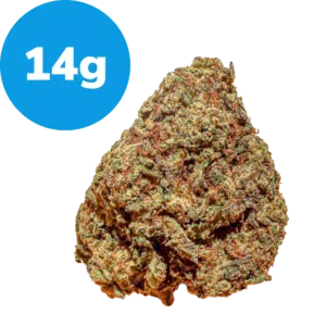 14g – Sticky Glue (Indica) 14g - Sticky Glue (Indica)