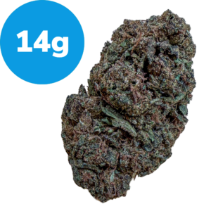Dried cannabis bud with a blue 14 g label indicating weight