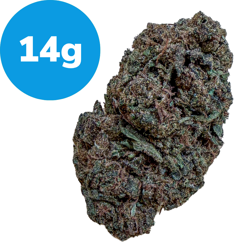 Dried cannabis bud with a blue 14 g label indicating weight