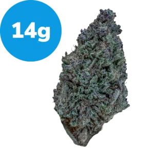 14g – Dosi Punch (INDICA) Cannabis bud with a blue circular label reading 14g indicating weight