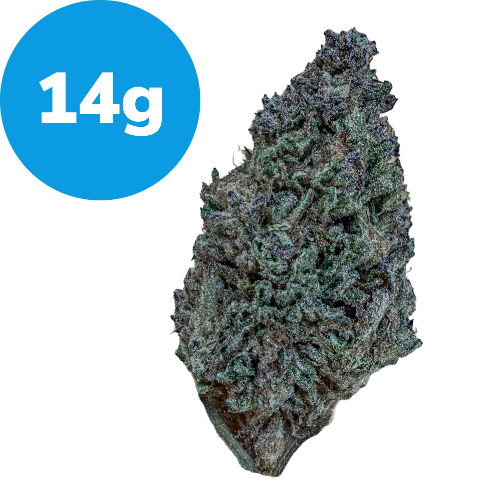 14g – Dosi Punch (INDICA) Cannabis bud with a blue circular label reading 14g indicating weight