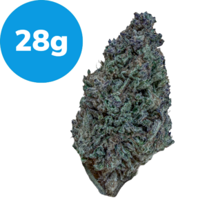28g – Dosi Punch (INDICA) Dried cannabis bud beside a blue circle badge reading '28g'.