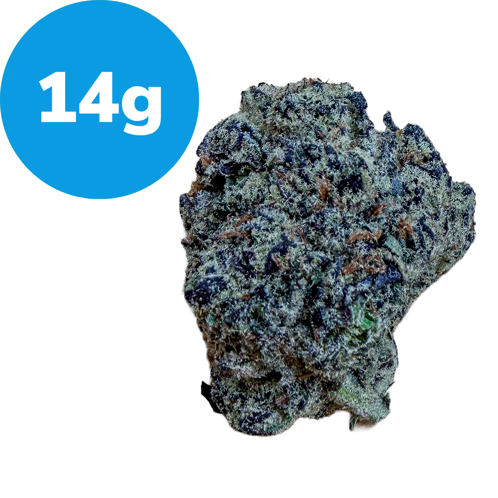 14g – Gas Mask (Indica) Blue circular tag with bold white text reading '14g' placed beside a rough, rock-like nugget.