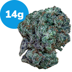 Cannabis bud with a blue circle label reading '14g' indicating weight of the item.
