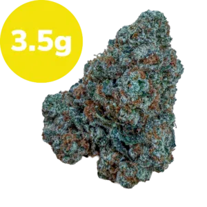 3.5g – Pinyatti (Sativa) Cannabis bud with a bright yellow 3.5 g label in the corner (product size)