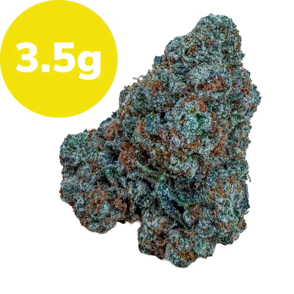 3.5g – Pinyatti (Sativa) Cannabis bud with a bright yellow 3.5 g label in the corner (product size)