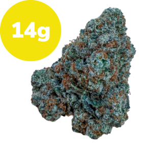 14g – Pinyatti (Sativa) Cannabis bud with frosty trichomes and green-brown hues, overlaid by a bright yellow circle reading '14g'.
