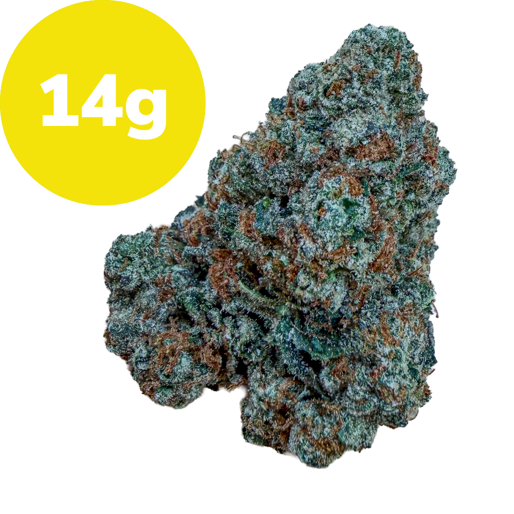 14g – Pinyatti (Sativa) Cannabis bud with frosty trichomes and green-brown hues, overlaid by a bright yellow circle reading '14g'.