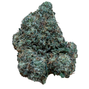 Dried cannabis bud with frosty trichomes and orange-brown hairs on a white background.