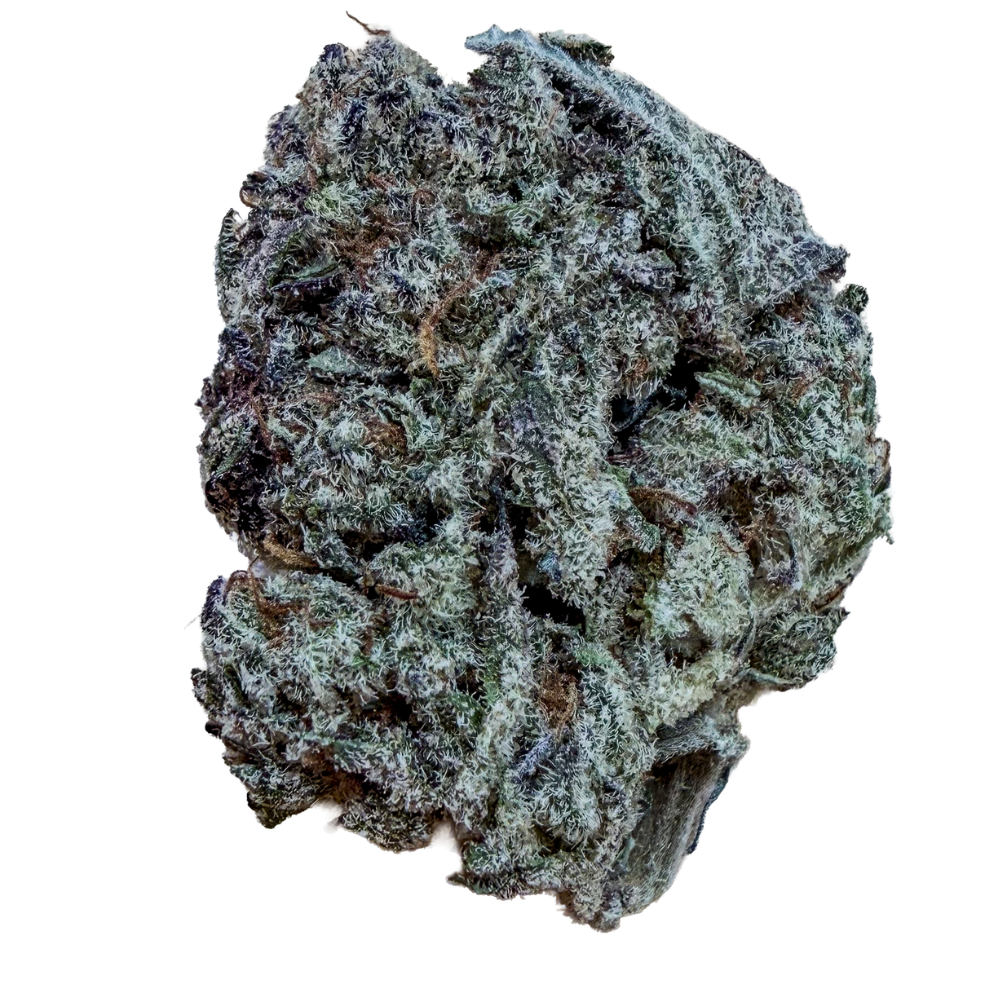 Drosty green cannabis bud with dense white trichomes on a white background