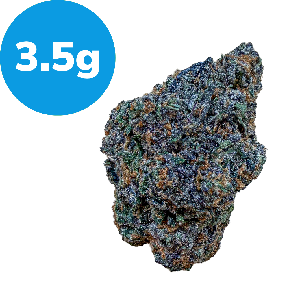 3.5g – Master Bubba (Indica) Cannabis bud next to a blue 3.5 g label indicating weight