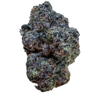 Close-up of a cannabis bud with frosty trichomes and green-purple hues