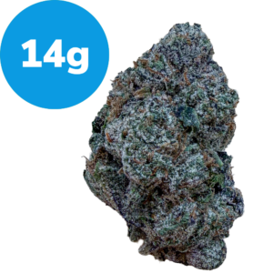 14g – Nice Cherry (Indica) Cannabis bud coated in frosty trichomes with a blue 14g label in the upper left corner.
