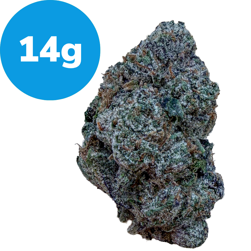 14g – Nice Cherry (Indica) Cannabis bud coated in frosty trichomes with a blue 14g label in the upper left corner.