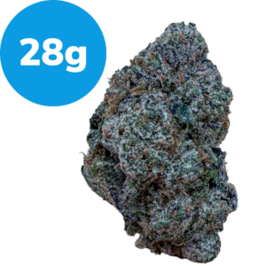 28g – Nice Cherry (Indica) Cannabis bud with a blue 28g label indicating weight.