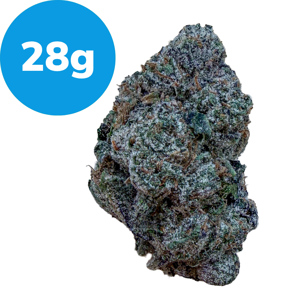 28g – Nice Cherry (Indica) Cannabis bud with a blue 28g label indicating weight.