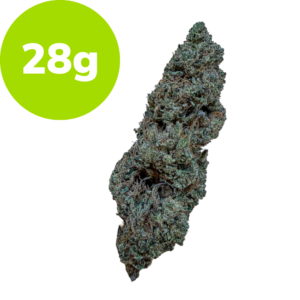 28g – OG Skunk (Hybrid) Cannabis bud beside a bright green 28g weight label indicating product weight.