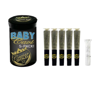 Baby Cavi – Blue Glue 2.5g – (Hybrid) Black Baby Cavi 5-Pack cannabis product jar with five pre-rolled joints in tubes and a small glass smoking accessory on the right