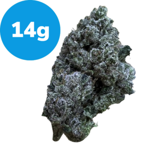 14g – Purple Bubba (Indica) Dried cannabis bud with a blue circle badge reading 14g in the top left corner.