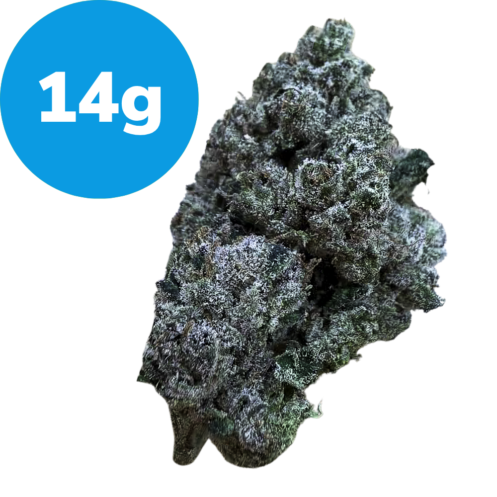 14g – Purple Bubba (Indica) Dried cannabis bud with a blue circle badge reading 14g in the top left corner.
