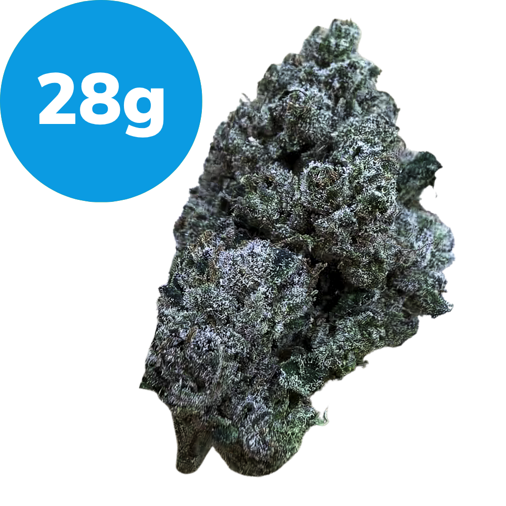28g – Purple Bubba (Indica) Cannabis bud with a blue badge reading 28g indicating weight