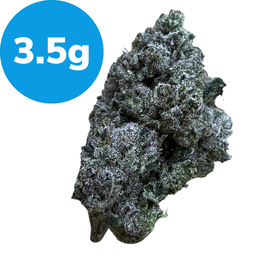 3.5g – Purple Bubba (Indica) Dried cannabis bud with a blue circle label reading 3.5 g