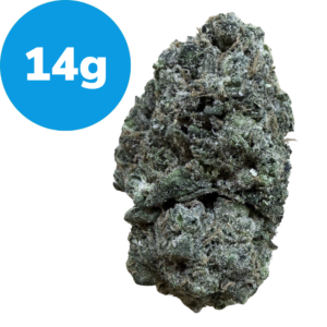 14g – Space Garlic (Indica) Cannabis bud nugget with a blue badge reading '14g' indicating weight