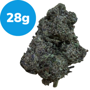 28g – Bubblegum Gelato (Indica) Cannabis bud weighing 28 grams with dense green crystals and trichomes