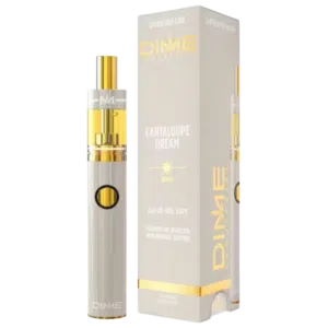 Dime – 2g Cantaloupe Dream Disposable Pen (Sativa) Gold and silver vape pen with circular button next to matching gray box labeled DIME Cantaloupe Dream — all-in-one vape accessory (logo visible)