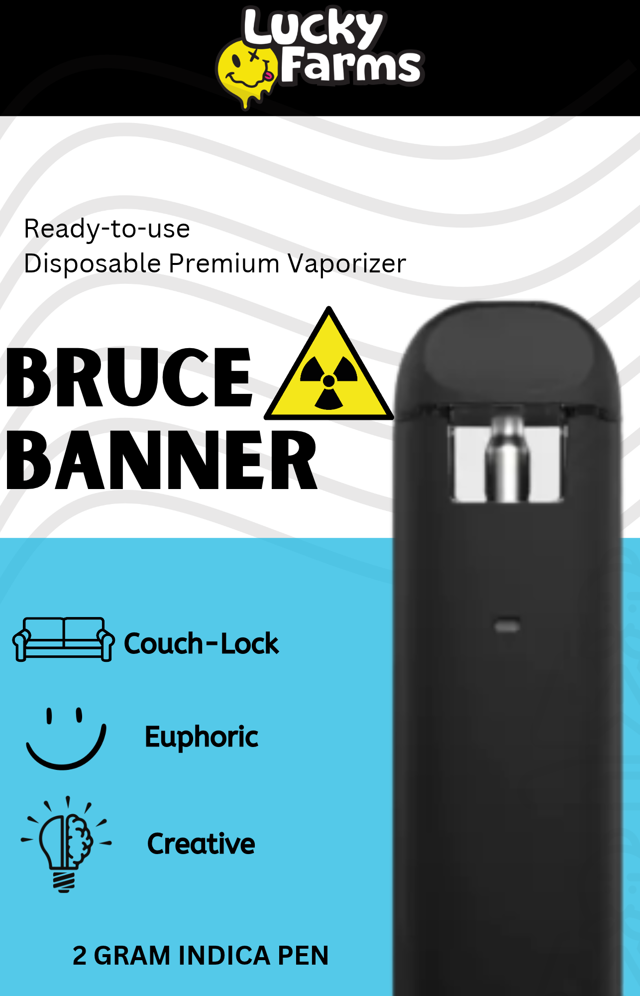 2g – Bruce Banner Disposable Pen (Indica)