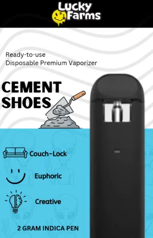 2g - Cement Shoes Disposable Pen (Indica)