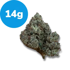 14g – Pink Champagne (Indica) 14g - Pink Champagne (Indica)